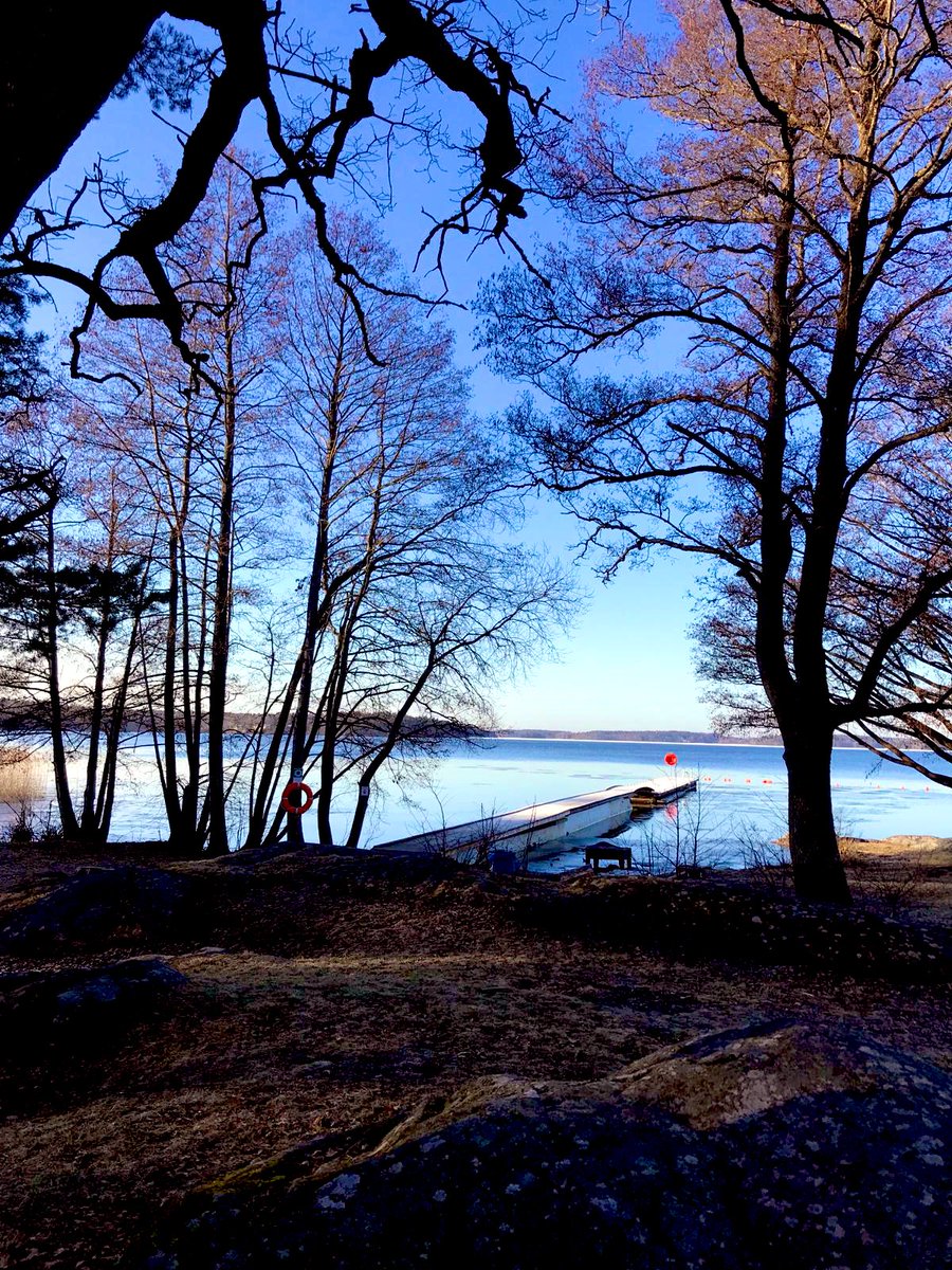 Good morning Beautiful People🥰 Wonderful Monday to you all, have a beautiful day and share those amazing smiles. What simple things make you happy, today? #ThePhotoHour #TheStormHour #Weather #NaturePhoto #naturewalk #Trees #NatureBeautiful #Photos #photograph #Sea #Mindfulness