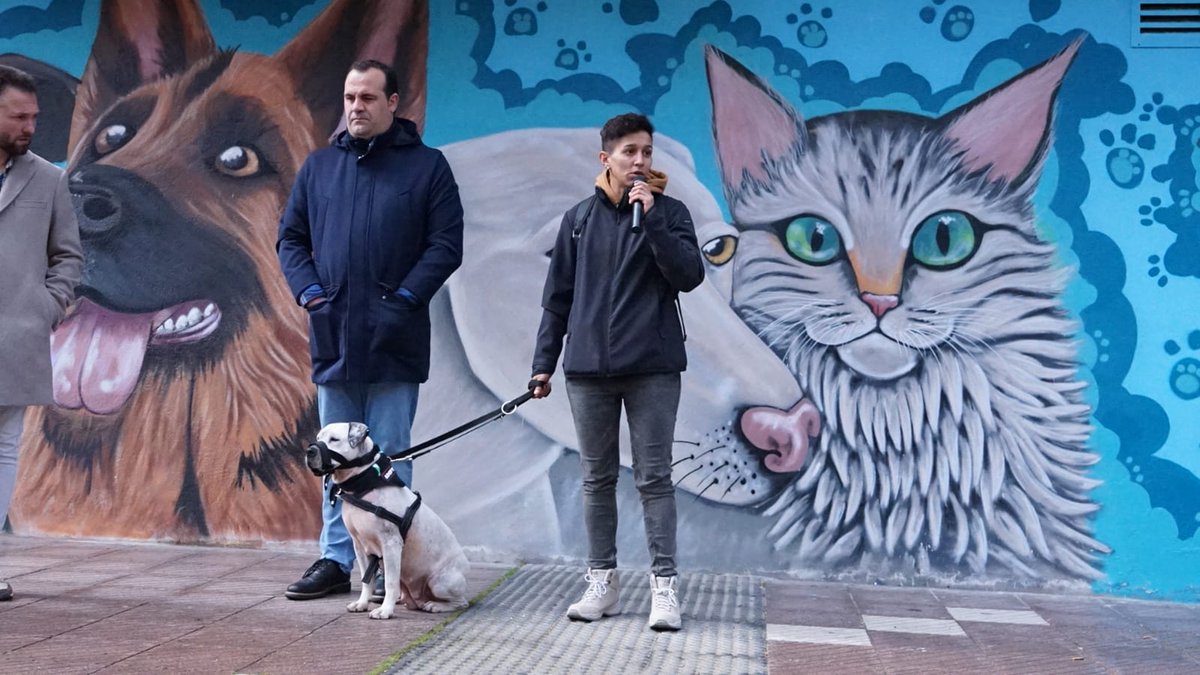 DavidMingoPP's tweet photo. Nos preocupa el bienestar animal y los cuidados de nuestras mascotas. Por eso hemos inaugurado el mural que ha donado el artista Bece y que podéis disfrutar en la calle Ricardo Marcos. 'No al abandono' se suma a la galería de arte urbano y busca dar visibilidad a este problema. https://t.co/HxFlfCAhNQ