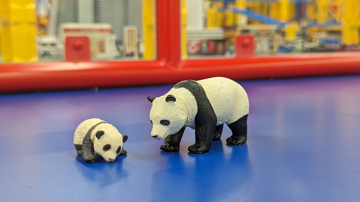 本日3/11(月)は #パンダ発見の日🐼🐼🐼 パンダってかわいいですよね