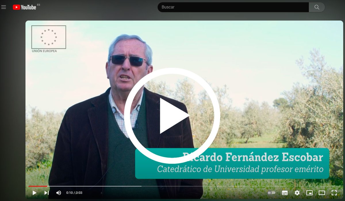 citoliva's tweet photo. Descubre cómo #nutrisan está revolucionando la agricultura sostenible🌿🔬En este vídeo exploramos sus objetivos:✅reducir el uso de agroquímicos✅aumentar la eficiencia en el control de plagas y enfermedades✅mejorar la calidad del aceite

📱https://t.co/ckm7RYeFD3

🧐 @redPAC_ https://t.co/O3ZN2od65d
