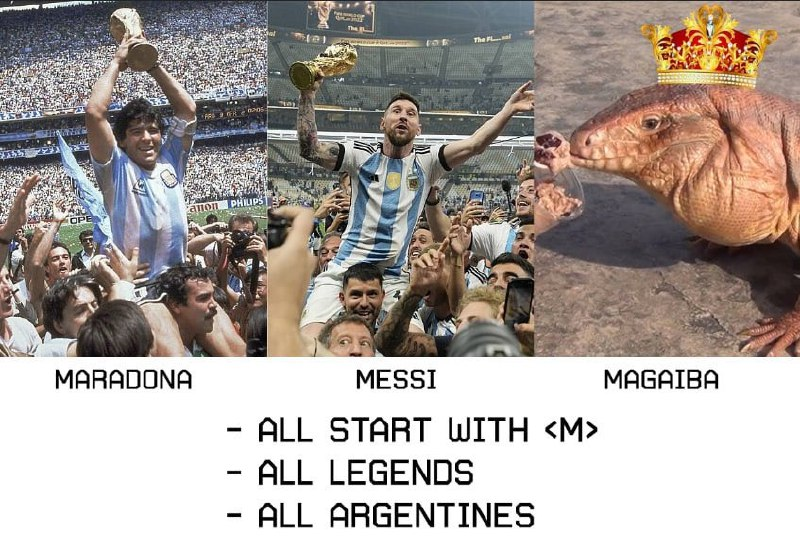 For those who don't know wtf is $MAGAIBA, it is a giant tegu lizard orginated from Argentina.  

- Backed by Argentina community, Circulo Vicioso, with the  founders doxxed! (30k+ followers in all their social)  

- Podcasts every week 

- 100% organic meme narrative, probably