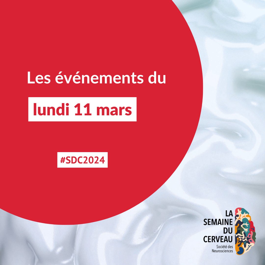 La Semaine du Cerveau commence aujourd'hui ! 🥳 Découvrez sans plus attendre les événements du jour : cutt.ly/Tw0w34dF #SDC2024 #neurosciences