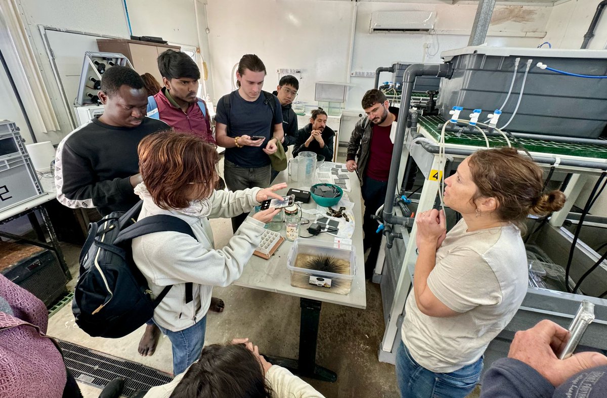 Field Trip: Climate Change & Marine Ecosystems course. Our #MarineBiology students explored the sea & @IOLR_Israel labs with Prof. @rilovg. PhD students Anton & Iris even showcased mesocosm experiments! Huge thanks for this enriching experience! #MarineScience #ClimateAction