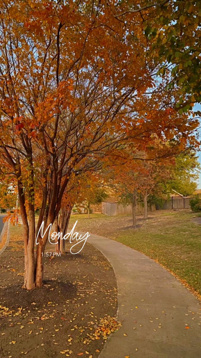 Assalam O Alaikum 🌸

Good Afternoon 💤☺️