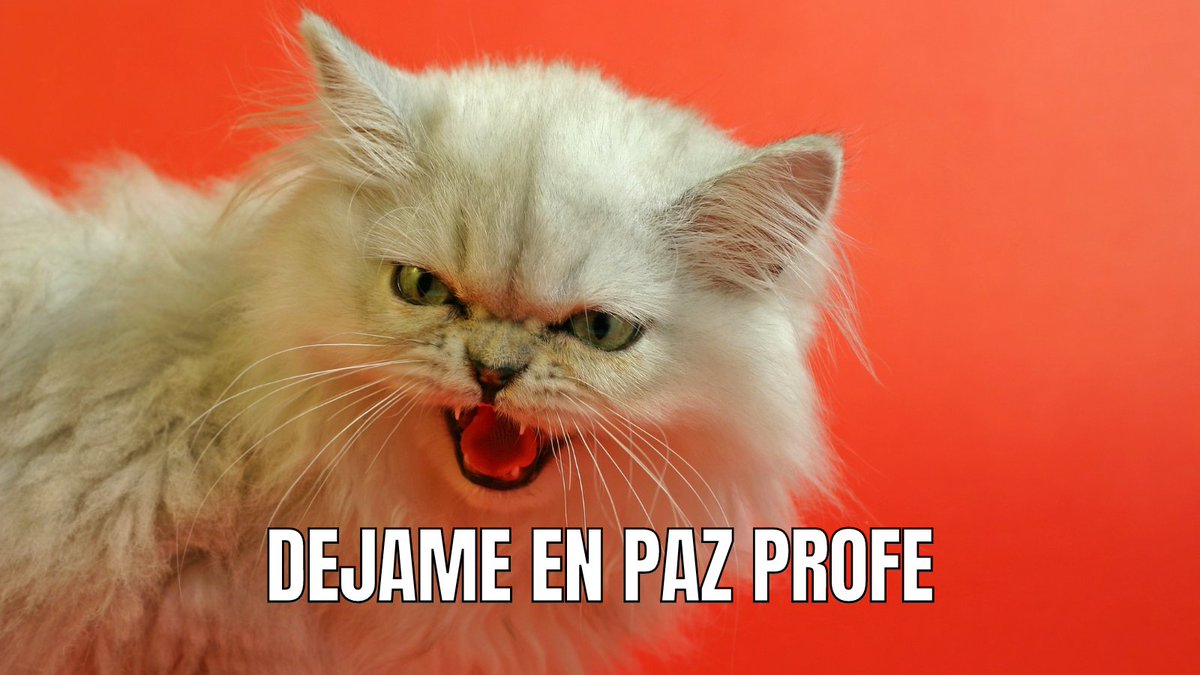 Buenos días a todos! Aunque más días que buenos porque es lunes... 
Por ello, os dejamos por aquí el meme de la semana!

Los alumnos el lunes tras no haber tomado su café mañanero y haber sonado la alarma a las 7 de la mañana.

#FelizLunes #cifplarobla