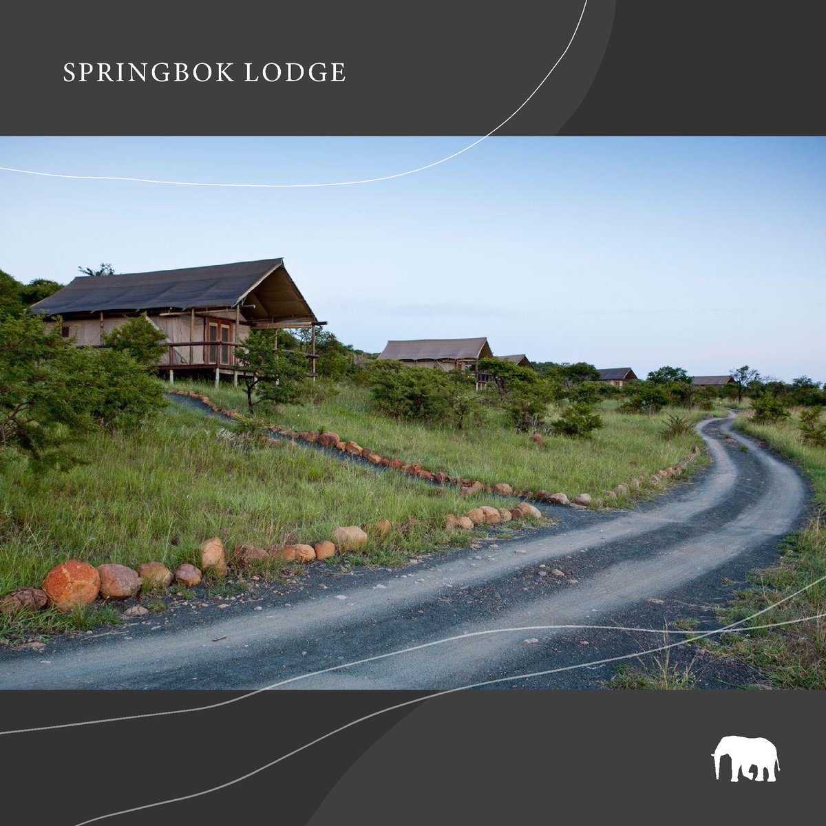 Every tent or unit at Springbok Lodge comes equipped with air-conditioning for year-round comfort, electric blankets for those cosy winter nights, a private viewing deck for wildlife encounters, and an open-air shower for a truly exhilarating experience under the stars.