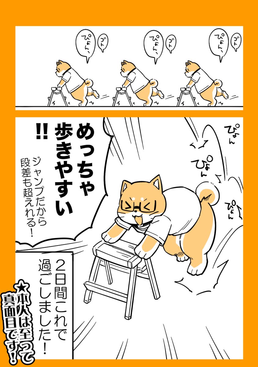 5/16

こちらおまけの足首コラムも収録してます!
https://t.co/qc0uF9rGNW 