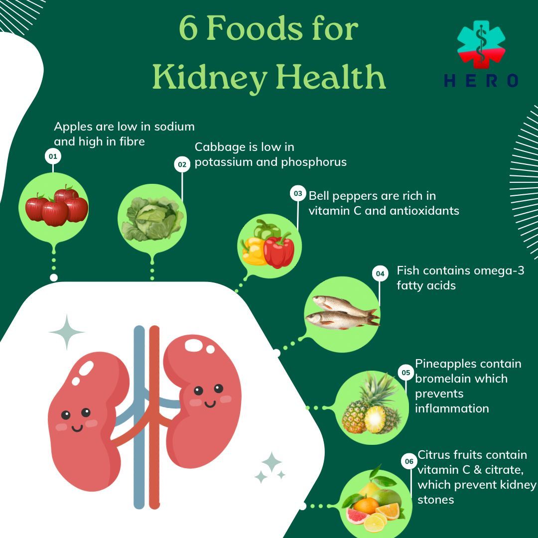 Welcome to our Kidney Health Awareness Series. #DYK Simple dietary choices can make a big difference in our kidney health? Here are six common foods that nourish and protect our kidneys.
#KidneyMonth #Kidneyawareness #WorldKidneyDay #Kidneyhealth #Kidneydisease