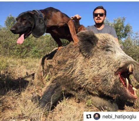 İsmail Saymaz tweet media