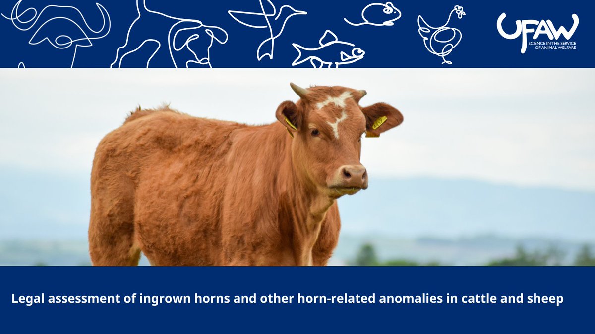 Animal Welfare_The Journal tweet media