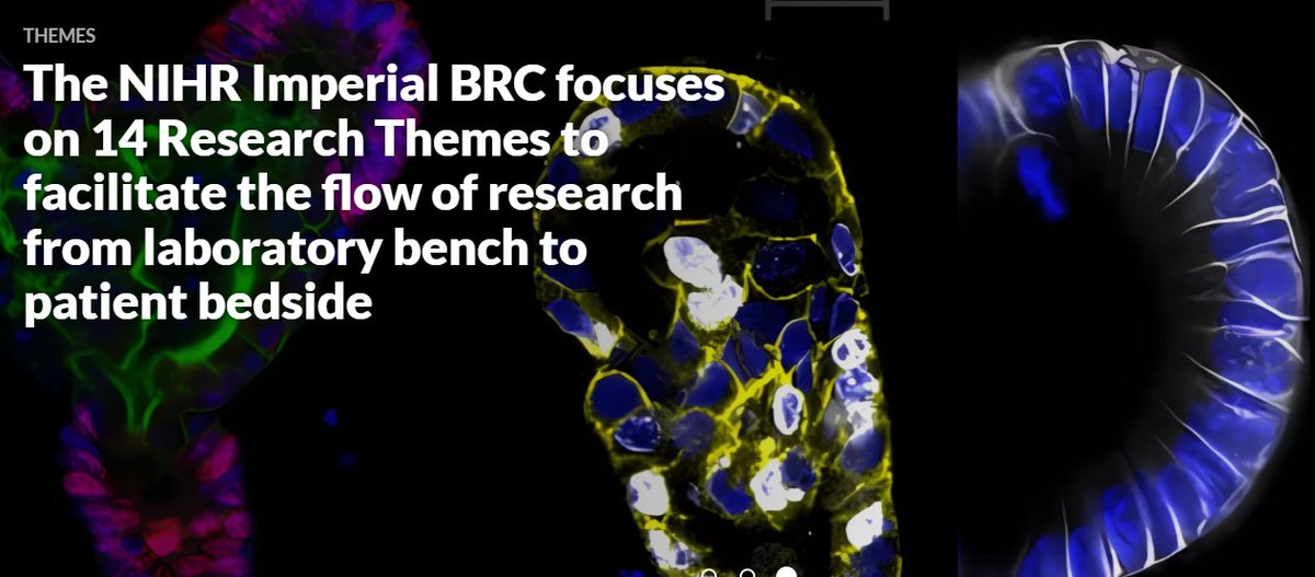 We are thrilled to launch our own Newsletter through which we will keep everyone informed about the exciting and innovative research projects that Imperial BRC supports. @ImperialMed @ImperialNHS @NIHRresearch Please subscribe here- imperialbrc.nihr.ac.uk/newsletter/