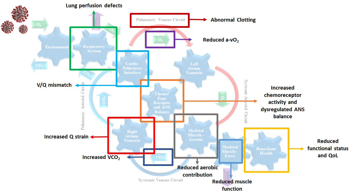 Our latest article discusses PESE, objective monitoring and quantifying responses to ALL external stimuli &amp; managing #LongCovid

We call for evidence-based guidelines to design and implement SAFE testing and prescription of appropriate support for pwLC 

sciencedirect.com/science/articl…
