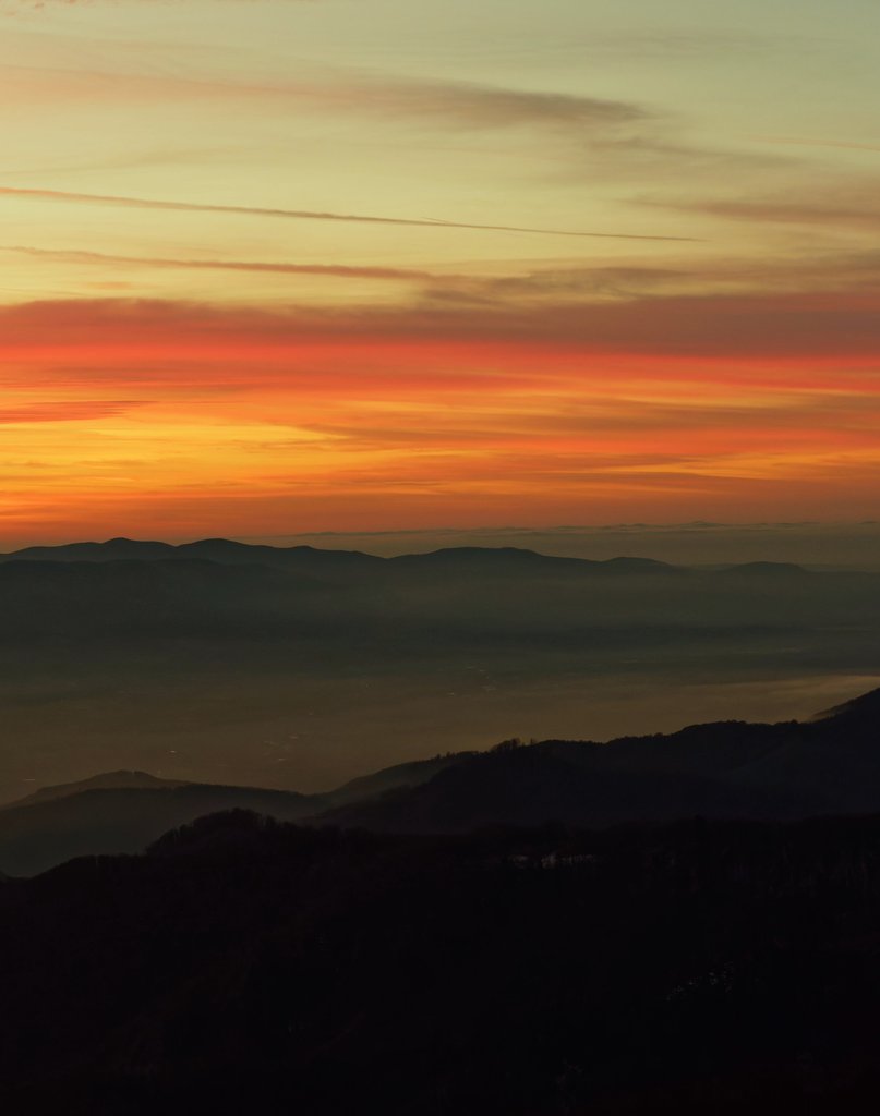 Good morning, friends ☀️
🌹