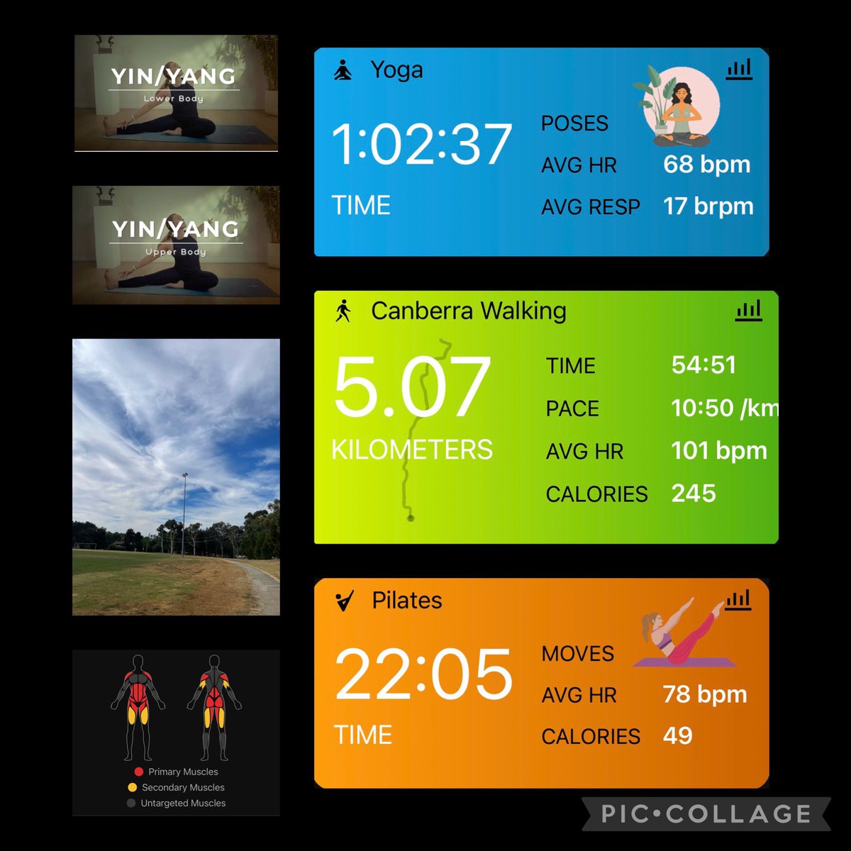 Cathy 🦉 tweet media