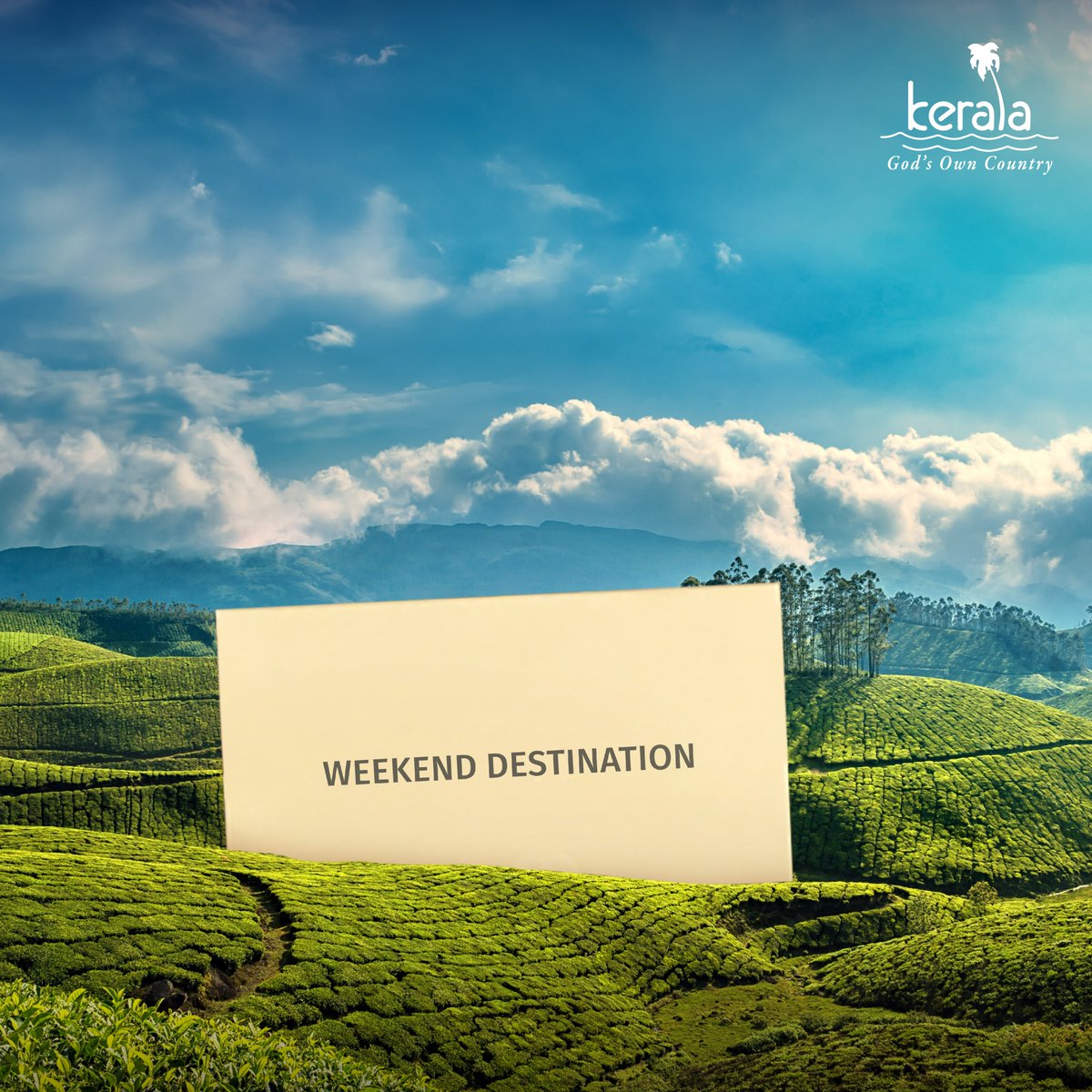 KeralaTourism's tweet photo. Munnar, an Oscar-worthy location.
#OSCARS  #KeralaTourism https://t.co/yNpWN9m91I