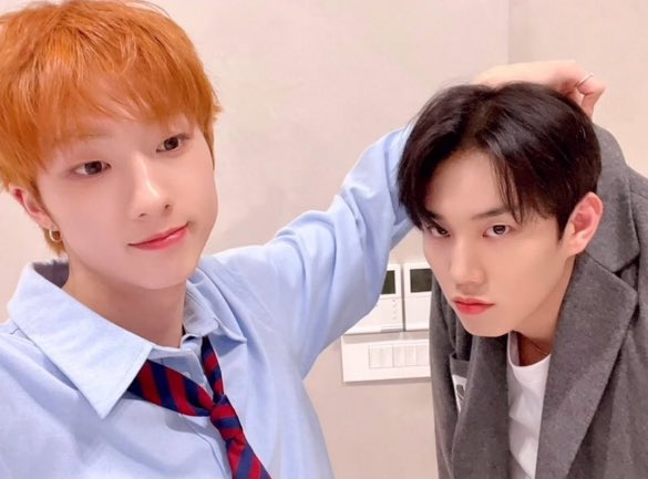 1028diary's tweet photo. they’re so adorable i can’t 🥺💔 https://t.co/2wFrWrMhlJ