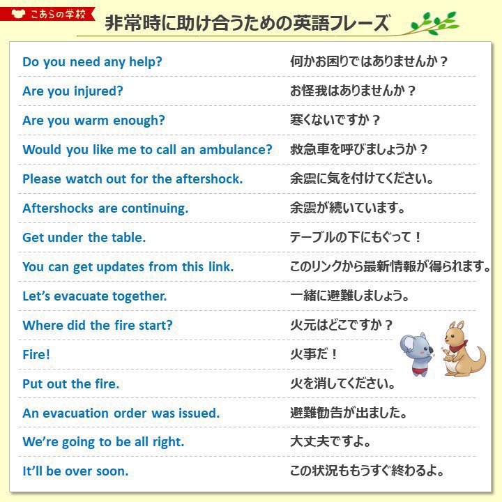 こあたん🇦🇺こあらの学校 tweet media