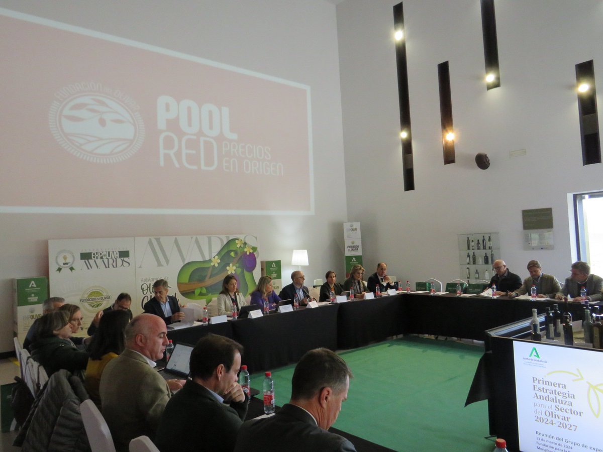 asajajaen's tweet photo. Hoy estamos en una jornada de trabajo en #geolit sobre la primera Estragia Andaluza del Olivar 2024-2027 https://t.co/JCNLKAGDGm