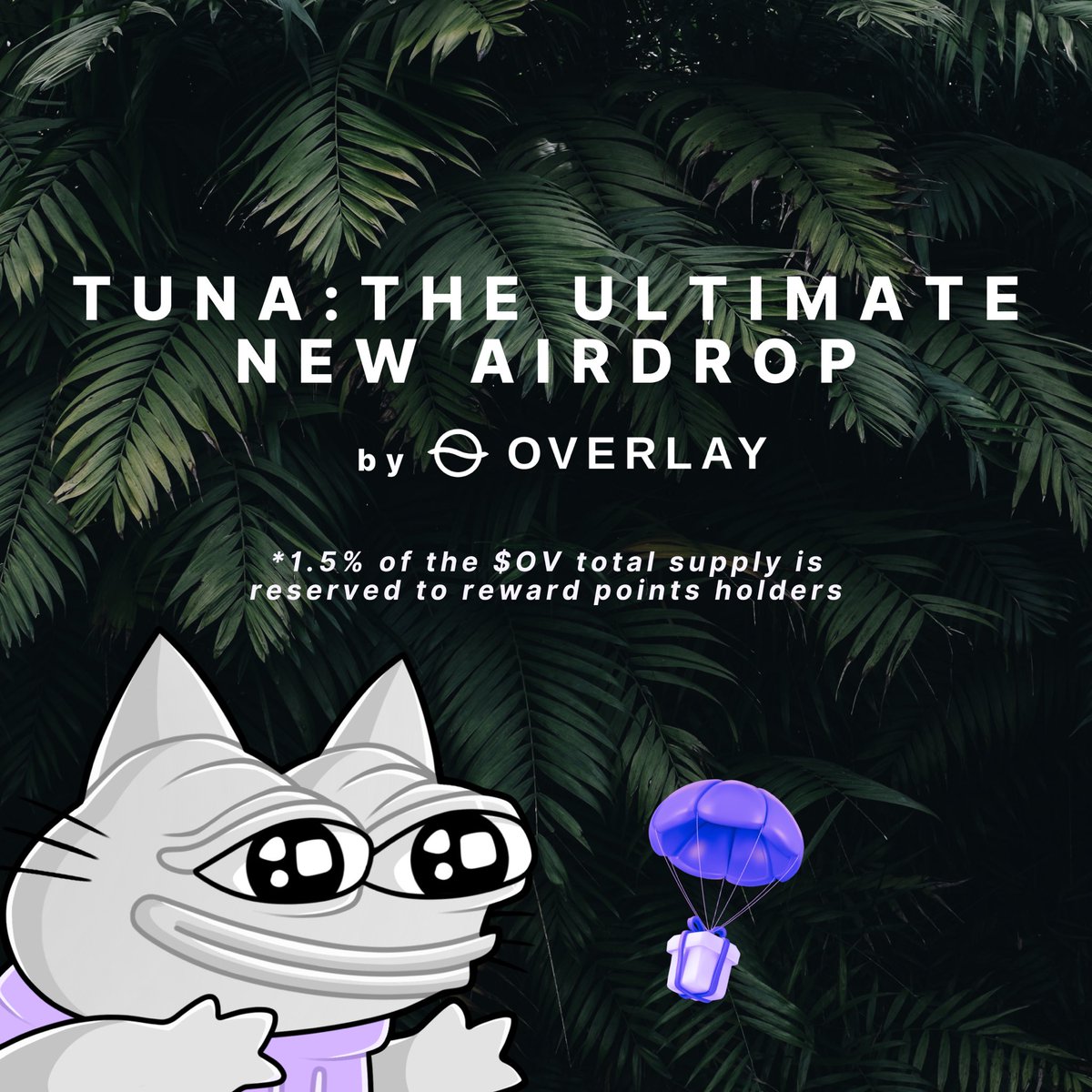 Overlay Protocol tweet media