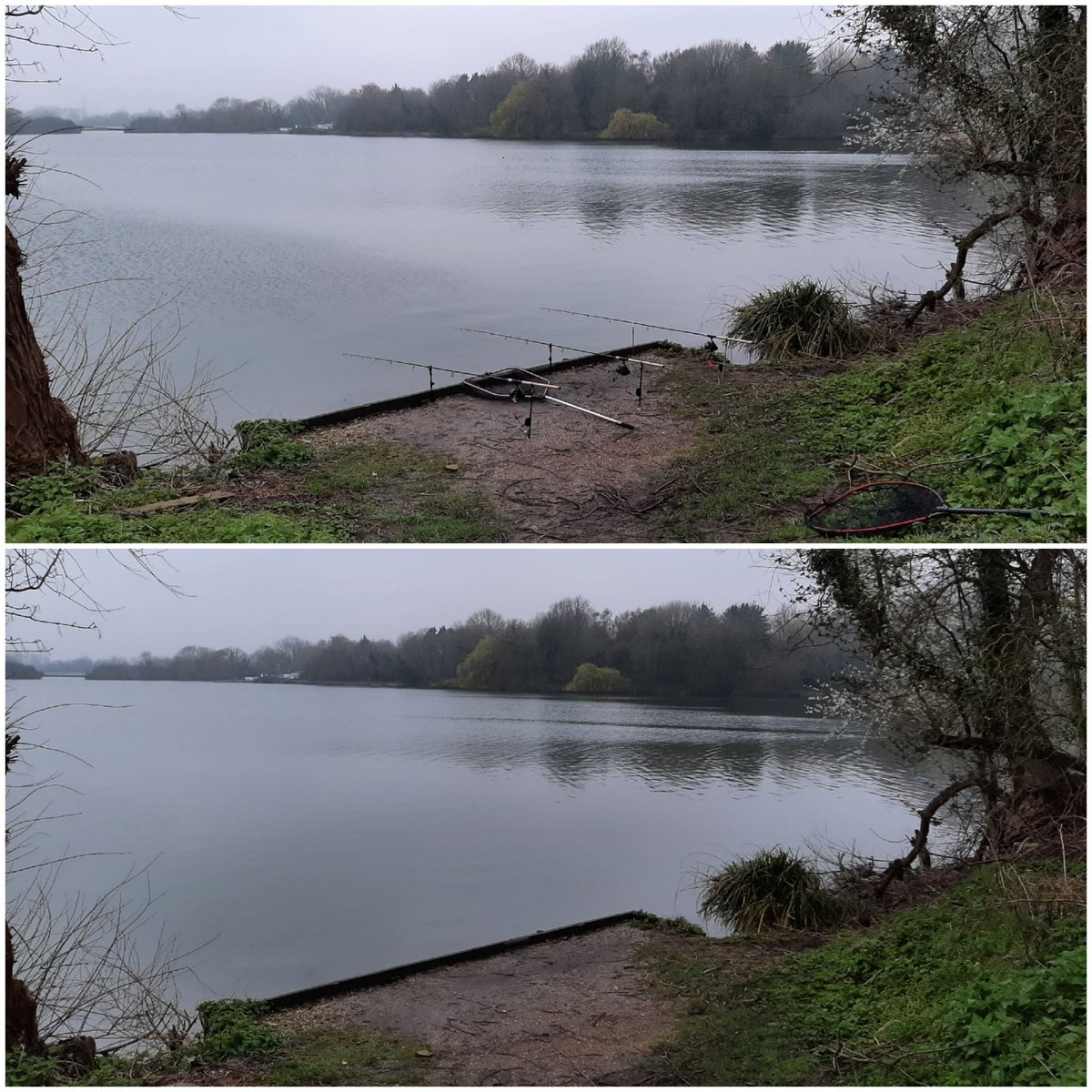 Nazeing Meads, its bleak,but last chance of piking for me,so here I am.
Sharing my swim with a Stoat,fantastic little creatures, but can't get a pic of the little bugger,,,