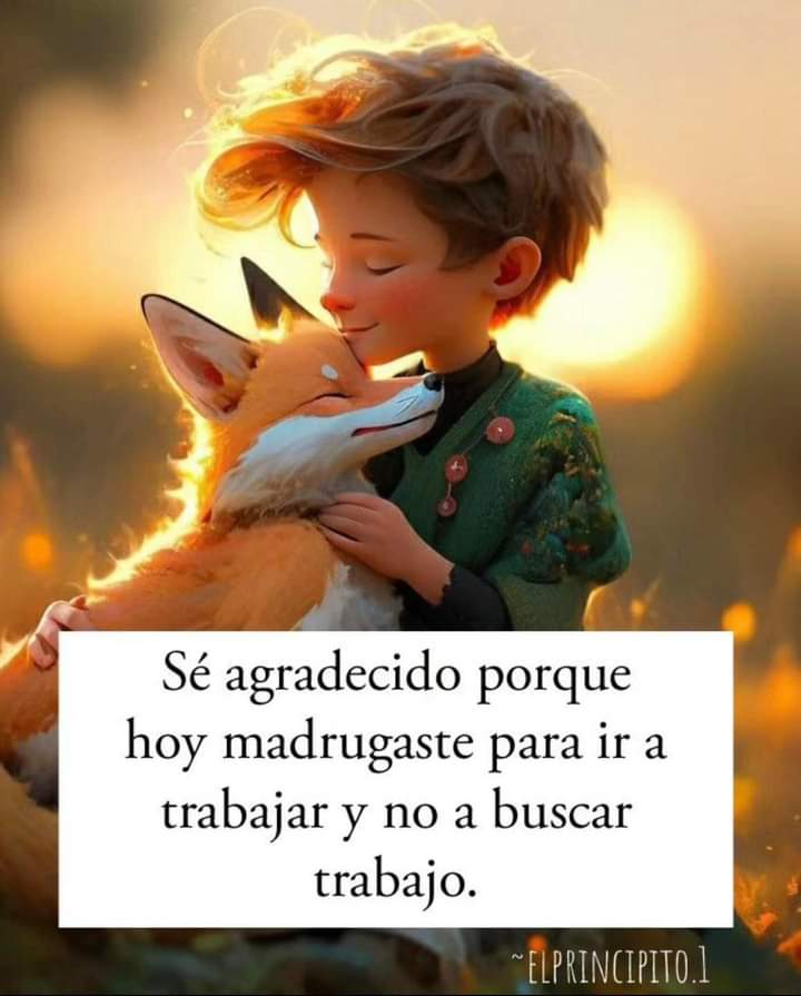 VidaEquilibrada (@vidaequilibrad4) on Twitter photo 