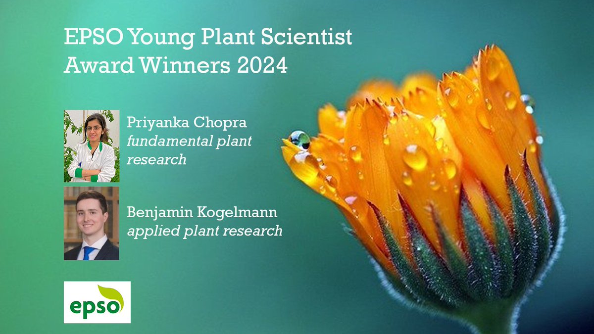 📌EPSO wishes to encourage the development of ideas & imaginative thinking in #PlantScience & congratulates the winners of the EPSO Young Plant Scientist Award🥇Priyanka Chopra (fundamental plant research) &🥇Benjamin Kogelmann (applied plant research) 👉bit.ly/3PhOXBH