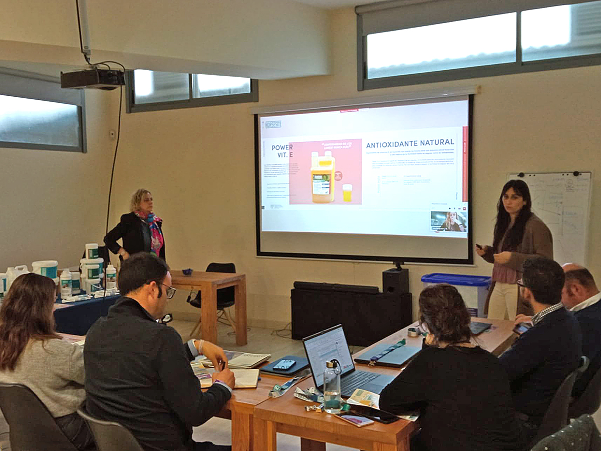 📆 Los días 6 y 7  de marzo se realizaron en <a href="/Nuzoa_/">Nuzoa</a>  Jornadas Formativas con #Horsesite. En ellas conocimos los beneficios de los productos de su catálogo de suplementos nutricionales, dedicados a la Salud y Bienestar del Caballo.

#SomosNuzoa #Ganaderia #Equino #Caballos #Nuzoa