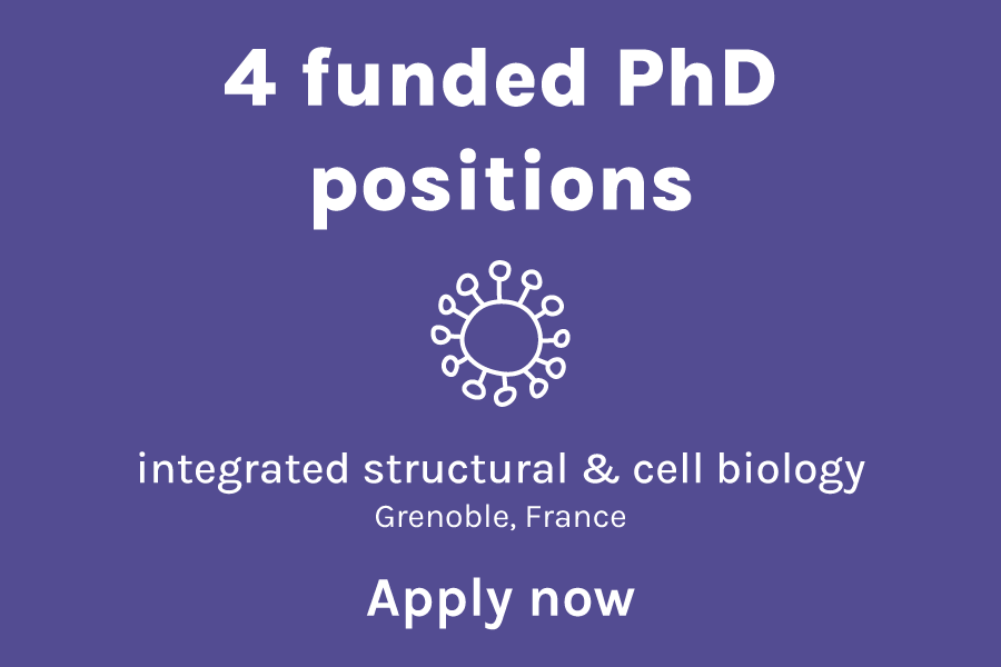 We are looking for our 4 next #PhD students in #structuralbiology #cellbiology 👉 labex-gral.fr/phd-2024/ Funding for a 3-yr PhD contract at @UGrenobleAlpes is already secured @EDCSV_grenoble @DocUnivGrenoble @SchoolCbh