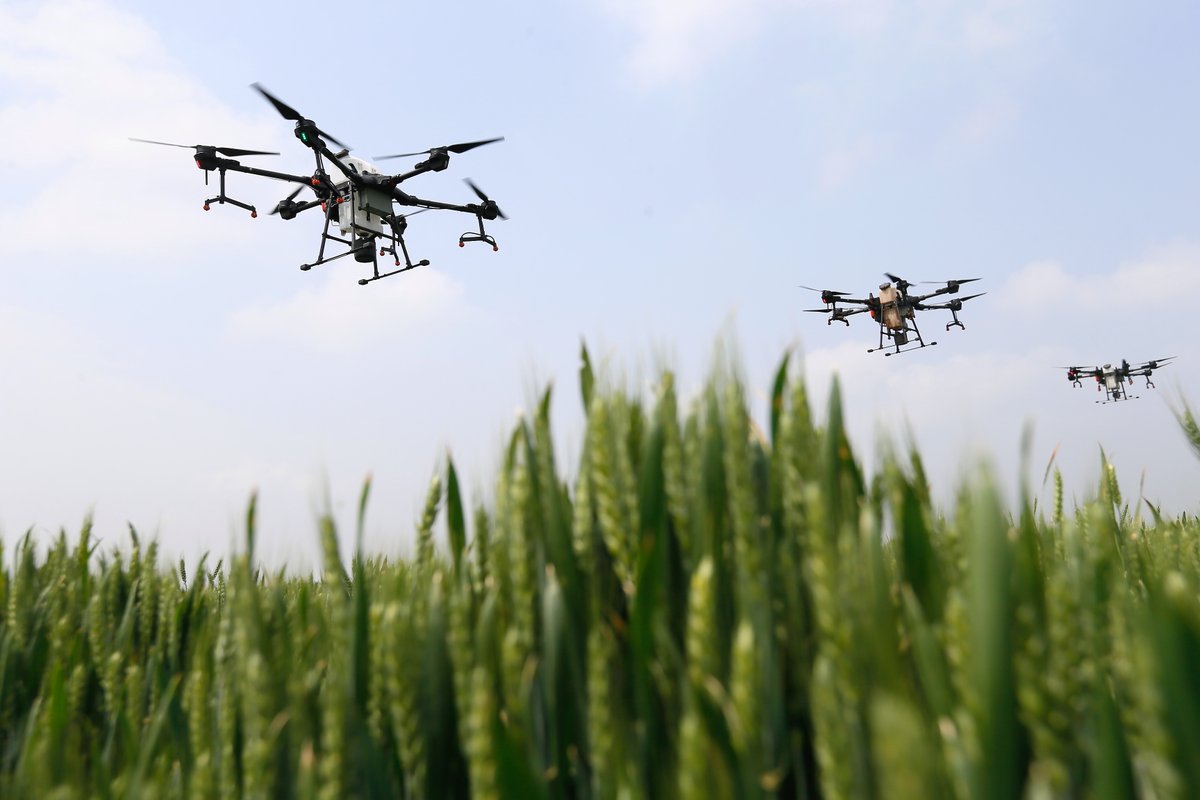 iShandong's tweet photo. Agricultural machinery companies, especially in #Shandong, play a key role in sustaining #China's grain production. With more than 2,000 related enterprises, Shandong accounts for a quarter of the country's agricultural machinery production 🚜. Its extensive product range, including 3,500 varieties, comprehensively supports farming needs. #ShandongDevl #QualityGrowth
