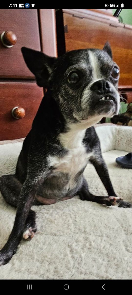 Missy rules the roost