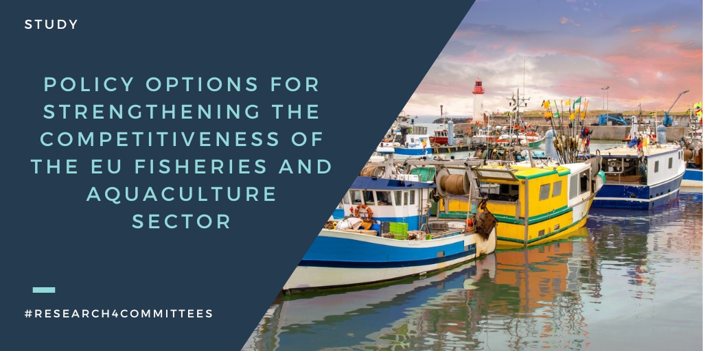 Our recent research for @EP_fisheries presents 4 case studies & provides policy recommendations for strengthening the competitiveness of the EU #fisheries and #aquaculture sector in the future. More: bit.ly/3T5f1kP #Research4Committees @azti_brta @gaoanta @UmrAmure