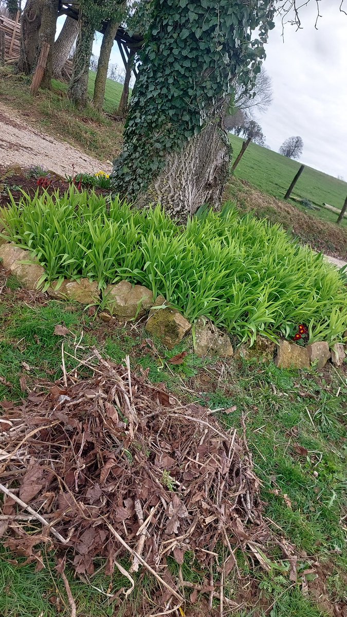 #LundiMotivation
Mode nettoyage de printemps 👍👍 <a href="/Fragritwittos/">FranceAgritwittos♥️</a> <a href="/Agridemain/">#agridemain</a> 
#Fratgw #Jnov @Agrisontducoeur