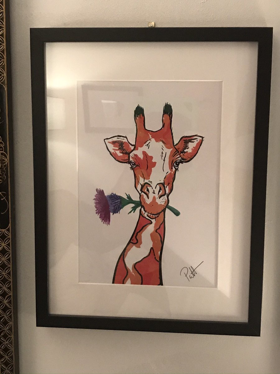 OorPatts's tweet photo. https://t.co/AjB8Euazc0 prints and cards from Patt in #Glasgow #MHHSBD #elevenseshour #anniversary #birthday #art #gifts #offer #Scotland #MerchantSquare @merchantsq @BornScotland #IloveUs #bloomers #TheSeaside https://t.co/AjB8Euazc0 Prints https://t.co/3QWb6YC5Rj