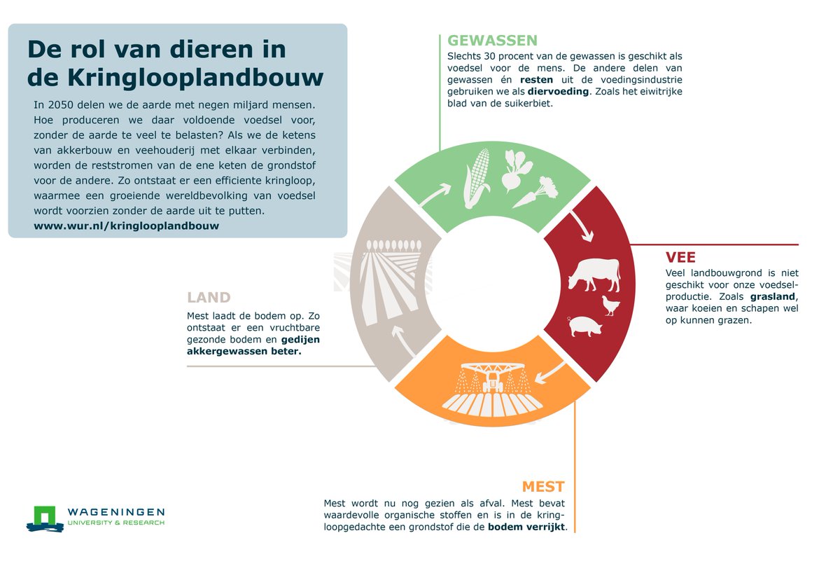 teamagronl's tweet photo. In deze Week vd Circulaire Economie delen we graag onderstaande infographic vd @WUR. Akkerbouw en veeteelt zijn onlosmakelijk met elkaar verbonden.

#WeekvandeCE ♻️
#kringlooplandbouw 🚜 https://t.co/HlT1GmzYBd