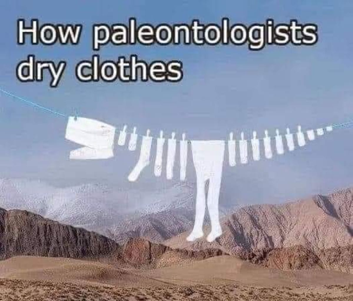 #SciencePerspective #Paleontology 🤪