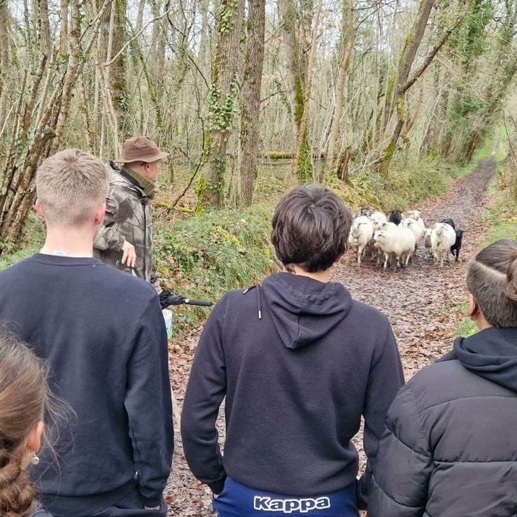 Cité Scolaire Arnaut Daniel Ribérac tweet media