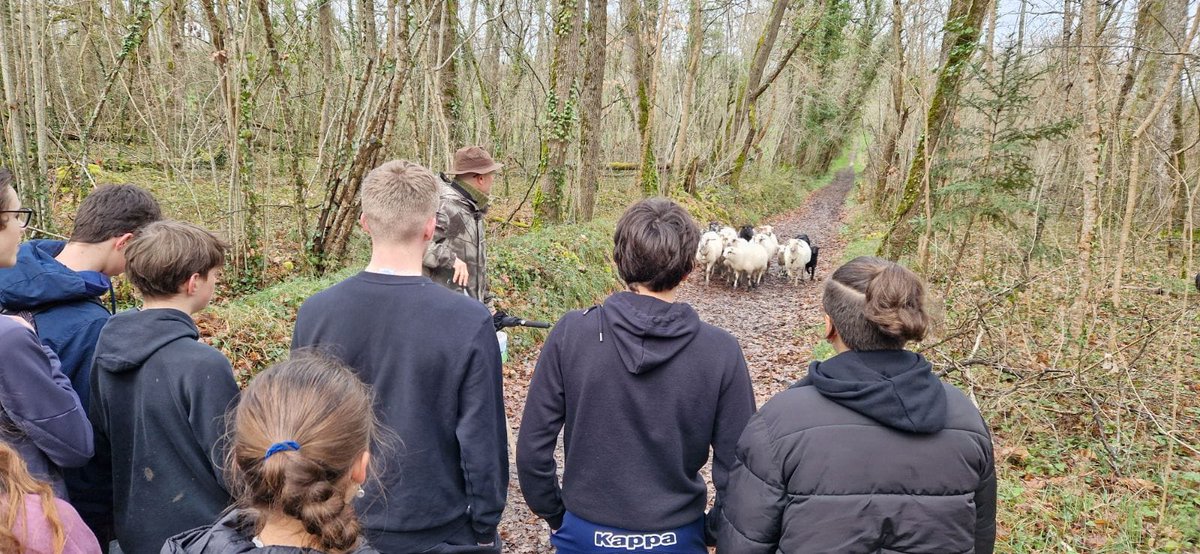 Cité Scolaire Arnaut Daniel Ribérac tweet media