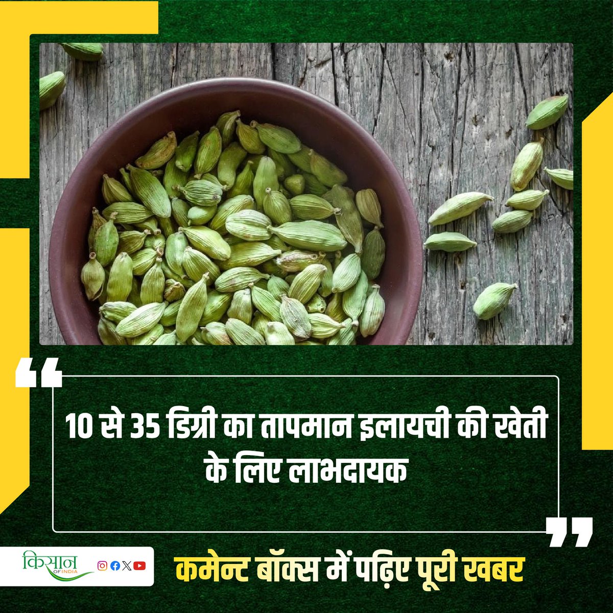 KisanofIndia's tweet photo. इलायची का पौधा कैसे तैयार करें? क्या है इसकी उन्नत खेती का तरीका?
#KisanOfIndia #ViralStory #Agriculture #CardamomFarming #Cardamom https://t.co/1R5CE1e3Hz