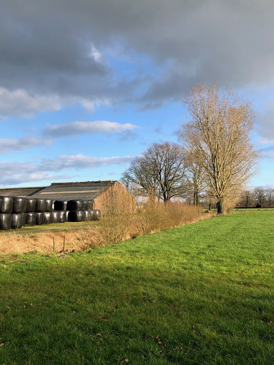 Dinsdag 19 maart gaan we met boer Henk Denneboom een houtwal inplanten bij boerderij Nieuw Markvoort in buurtschap Kring van Dorth. De werkdag duurt van 9.30 tot 13.00 u. Help je mee? Meld je vooraf aan, dan zorgen wij voor de lunch bit.ly/3VdQDjE