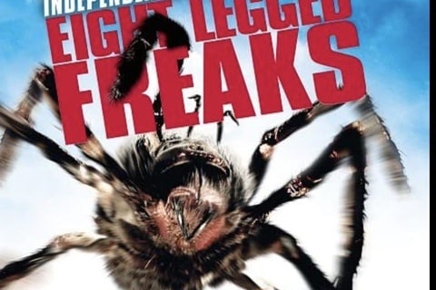 Eight Legged Freaks (2002) #rewatched #scifi #horror #darkcomedy : yes, still silly as silly as i remember it is #EightLeggedFreaks (5/10)