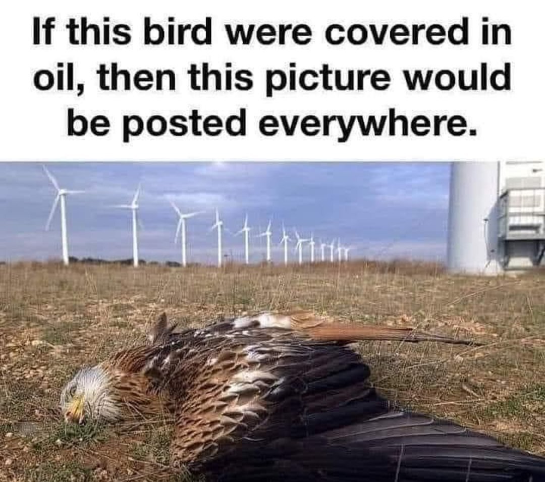 Wide Awake Media tweet media