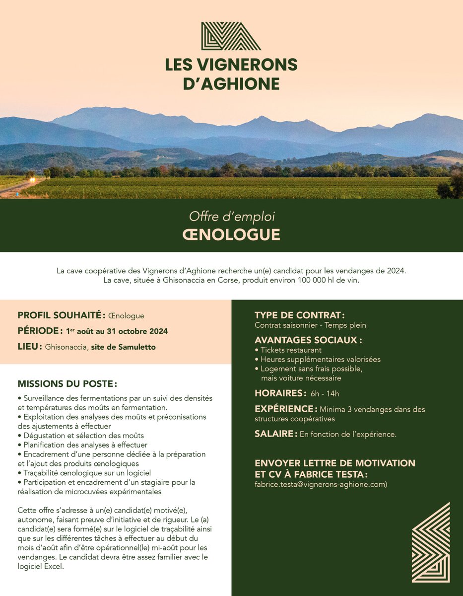 CasanovaAghione's tweet photo. [OFFRE D'EMPLOI] Nous recherchons 2 œnologues pour rejoindre notre équipe à Ghisonaccia, Corse, pour les #vendanges2024 :
- Sur le site d'Aristone du 12/08 au 11/10
- Sur le site de Samuletto du 01/08 au 31/10

📩 Envoyez votre candidature à fabrice.testa@vignerons-aghione.com https://t.co/z8sm3NnRkq
