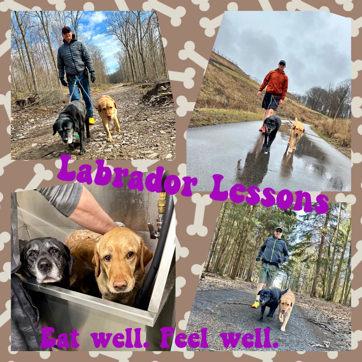 FitLabDeepCreek's tweet photo. #LabradorLessons from #FitLabPGH (link below): If you eat crap, you may feel like 💩
#EatWellFeelWell #EatRealFood #HealthyDogs #WiseWords #HealthyHabits
https://t.co/pUeFWs7szV https://t.co/mbL8VLcdSm
