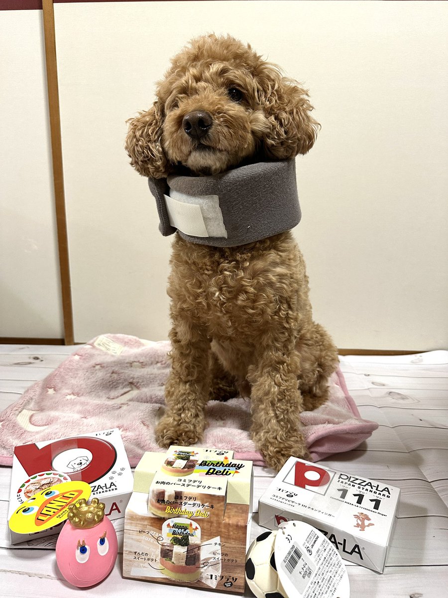 どんねー tweet media