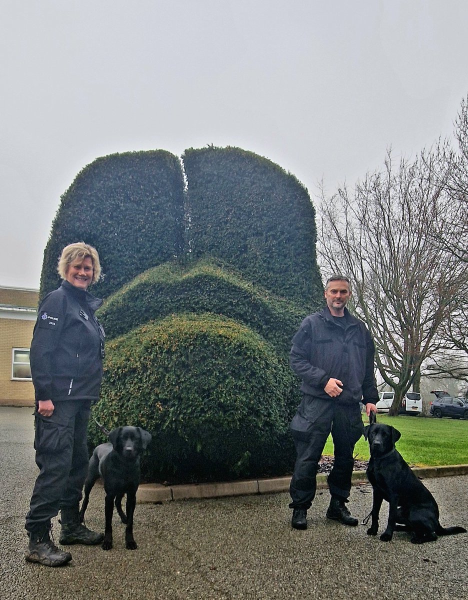 First day of Police Dog School for experienced handlers PC Gibbins & TPD Grace (L) & PC Llyod & TPD Hugo. Good luck with the basic Explosive Search Dog course. 🐶🐾