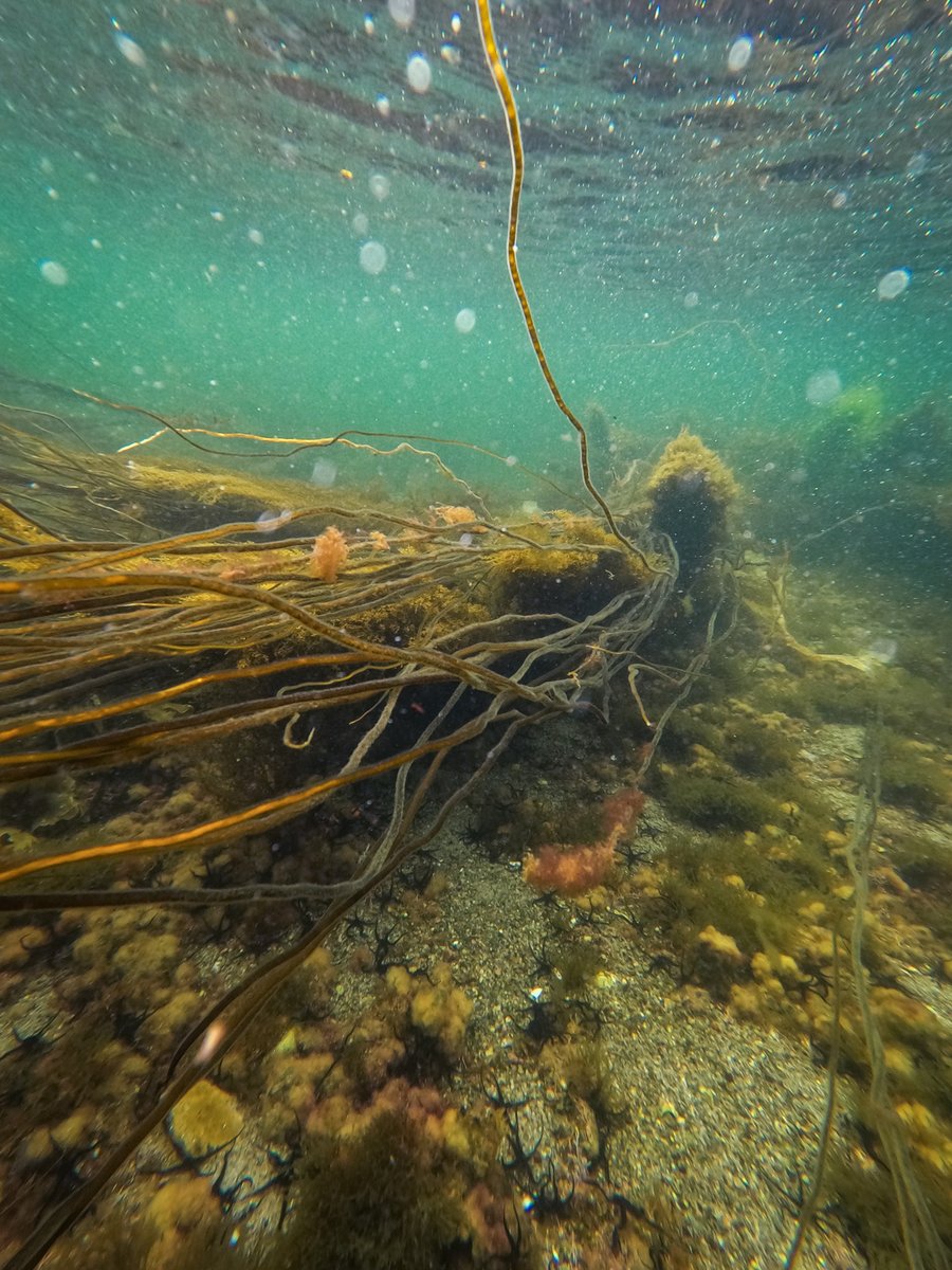 Kathi Kamleitner ✌️🌿 tweet media