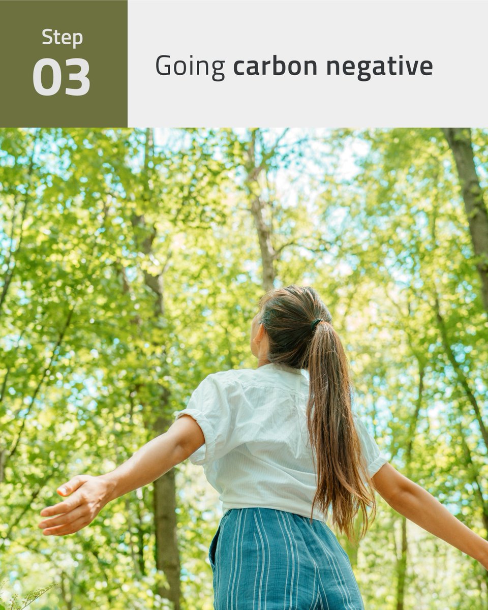 Bioenergy Europe tweet media