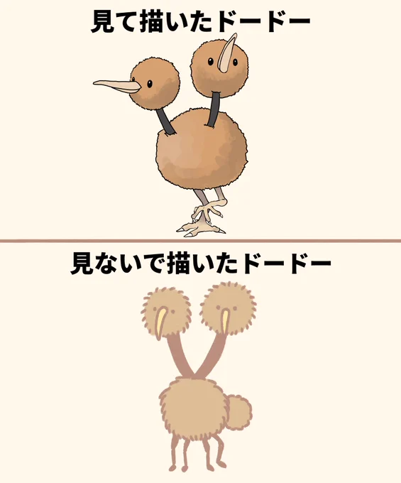 ドードー 