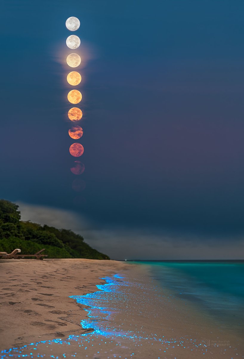 This photo was taken by Petr Horalek on Sushi Island, Maldives, showing the full Moon’s nearly vertical descent. The Sun-reflecting satellite appears redder as it gets closer to the horizon because blue light is preferentially scattered away by air and particles in Earth's…