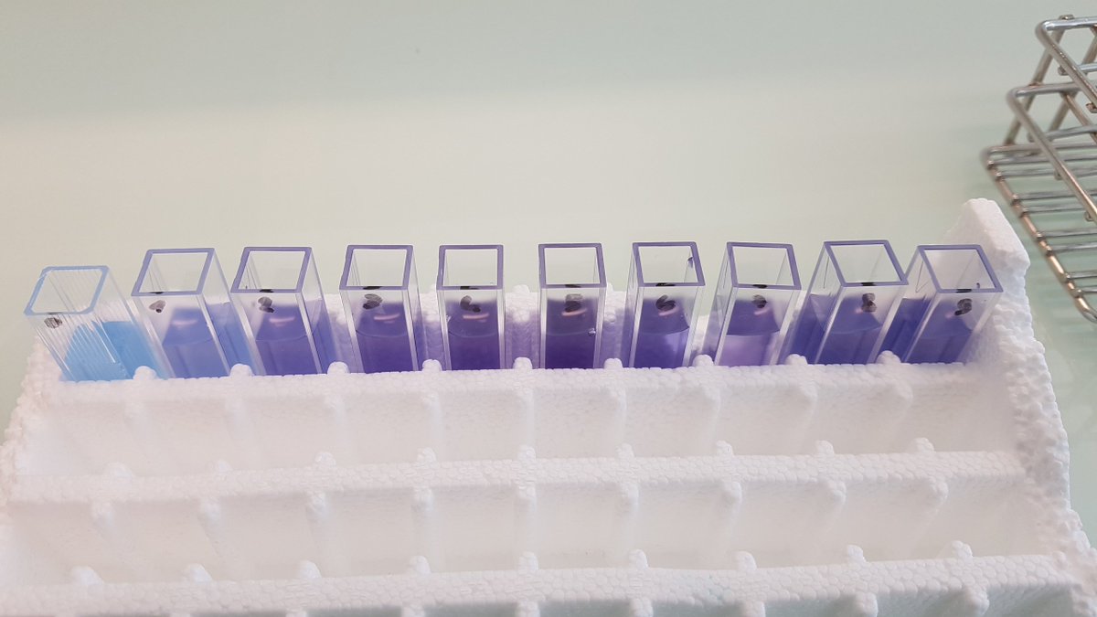 Stéphanie MAS Biotech Decaz tweet media